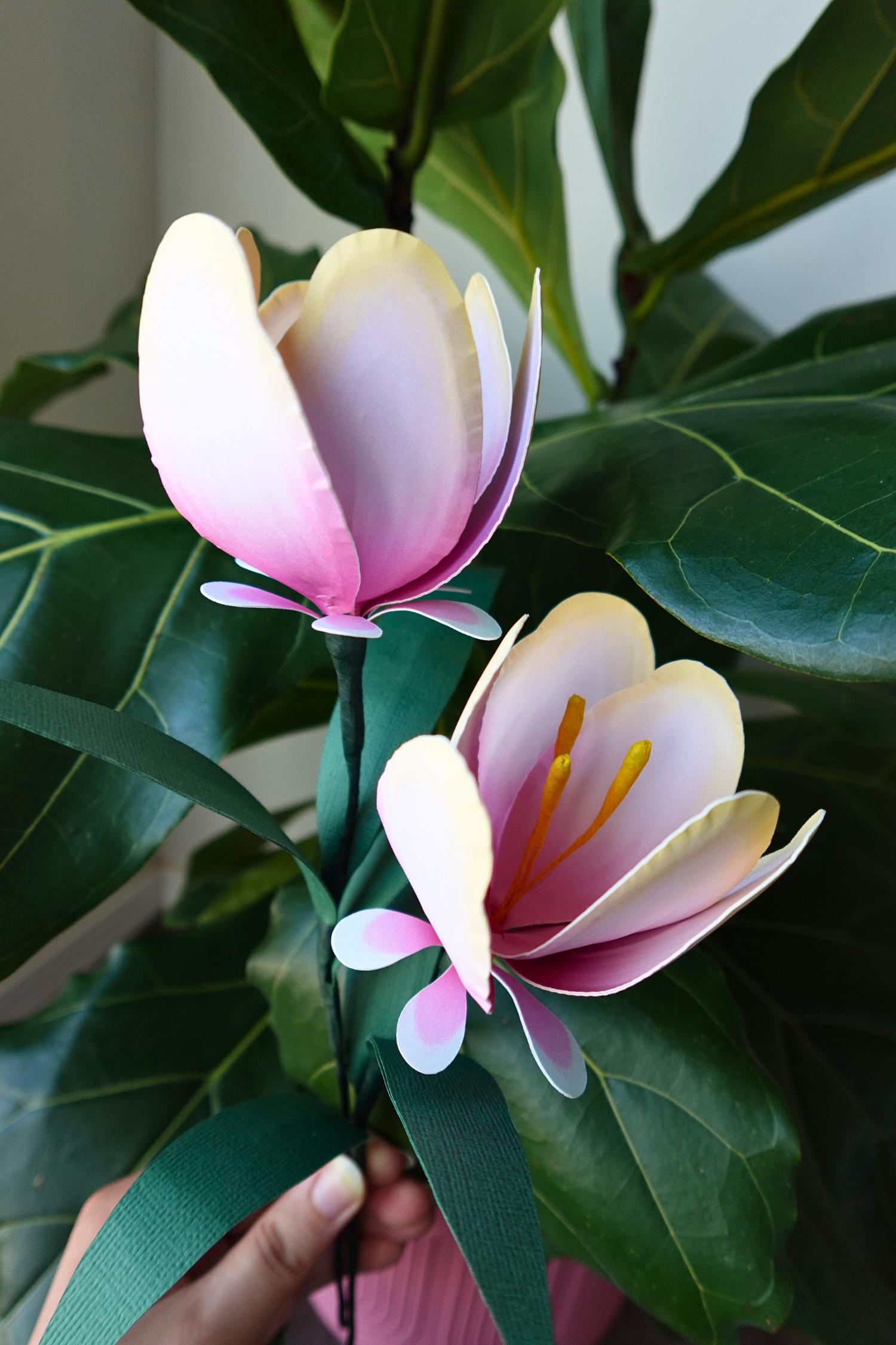 Rainbow Rose - Genshin Impact