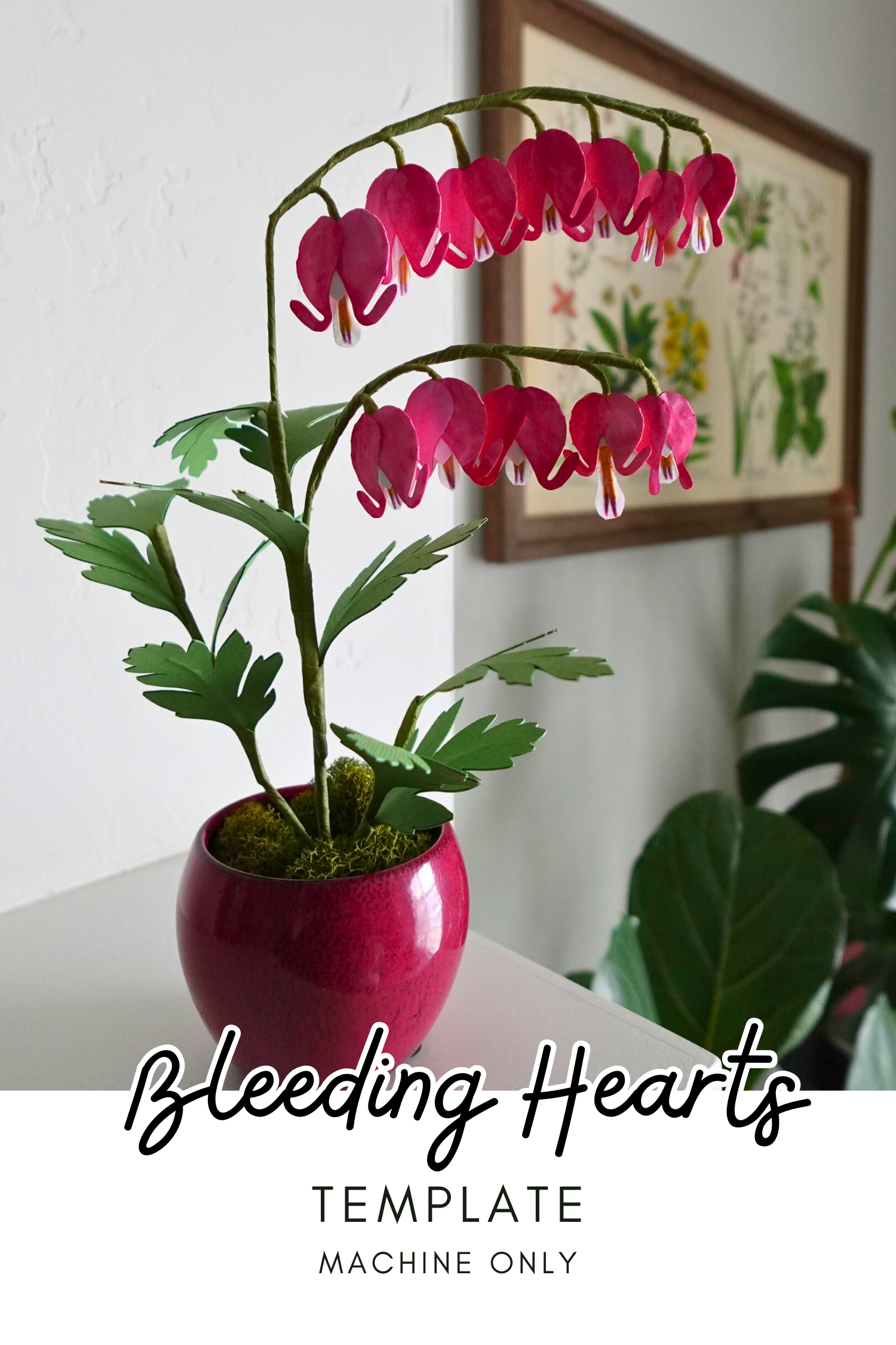 Bleeding Hearts