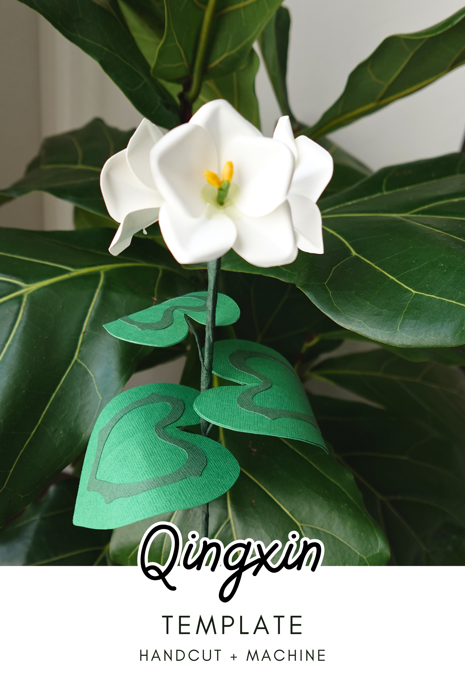 Qingxin - Genshin Impact