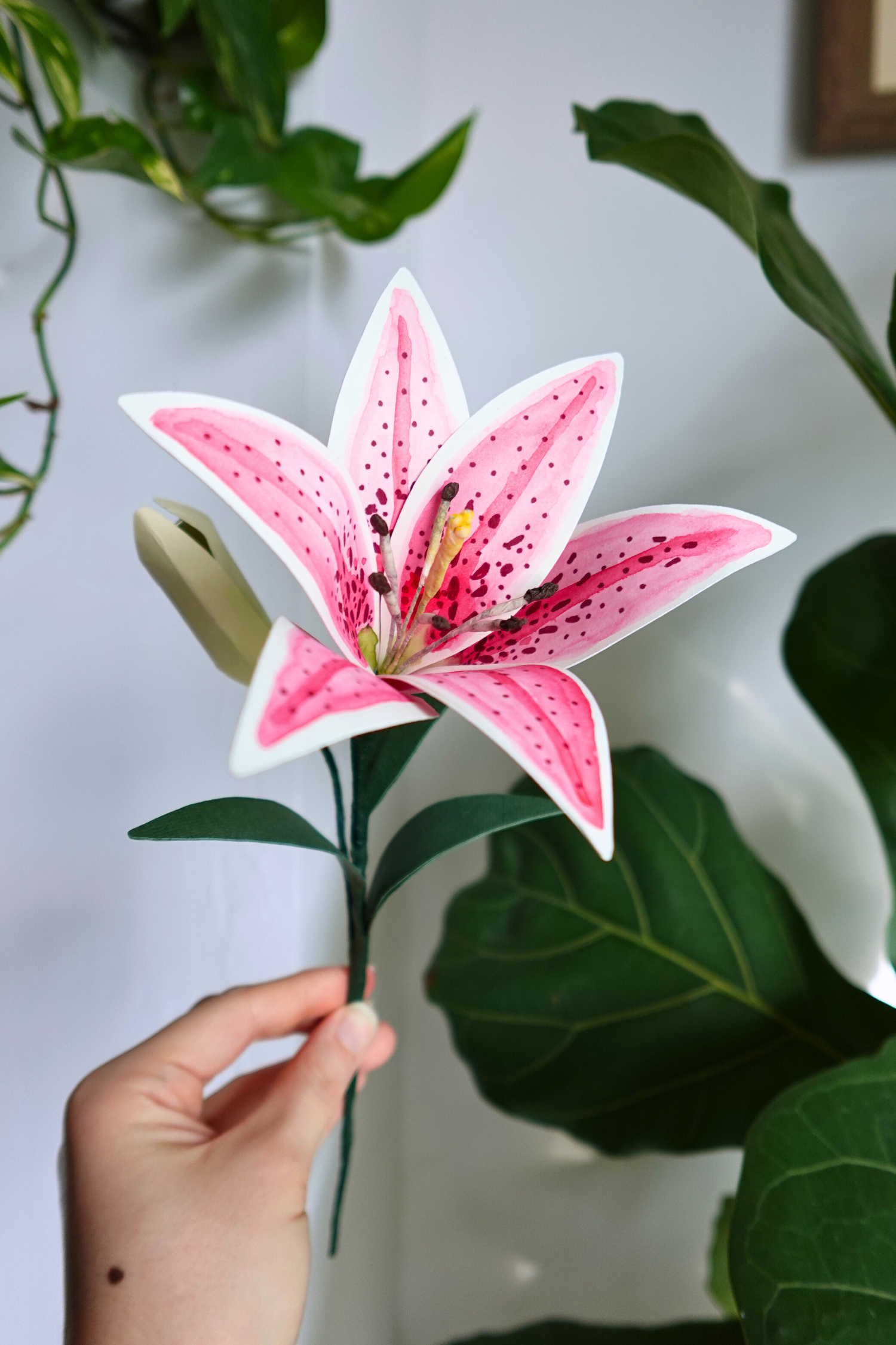 Stargazer Lily